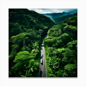 Aerial View Of A Road In The Rainforest 1 Canvas Print