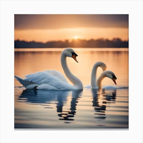 Swans On The Lake Canvas Print