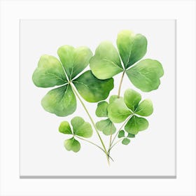 Four Leaf Clover 23 Canvas Print