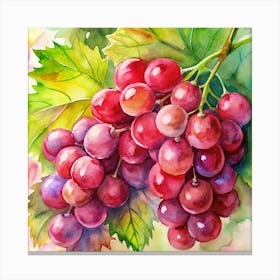 Watercolor Painting Of A Bunch Of Red Grapes Canvas Print