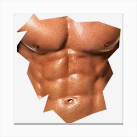 Mens Chest Six Pack Abs Funny Fake Abs Muscles Realistic Canvas Print