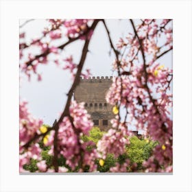 Alhambra Pink Blossom Canvas Print
