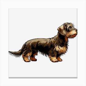 Dachshund 1 Canvas Print