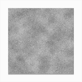 Silver Glitter Canvas Print