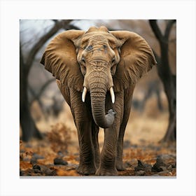Elephant In The Wild 1 Canvas Print
