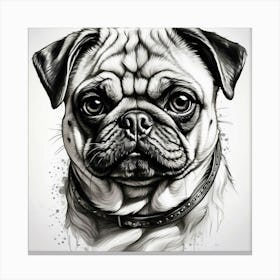 Pug Dog Portrait Canvas Print