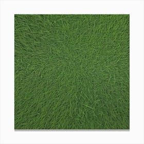 Grass Background 15 Canvas Print