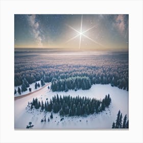 Starry Night Canvas Print