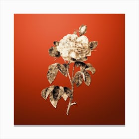 Gold Botanical Duchess of Orleans Rose on Tomato Red n.1135 Canvas Print