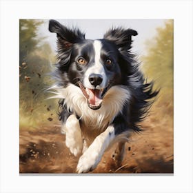 Border Collie Canvas Print