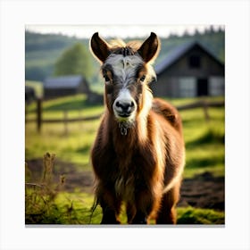 Field Domestic Agriculture Cute Nature Beautiful Rural Herd Farming Animal Farm Farm Anim (4) Canvas Print