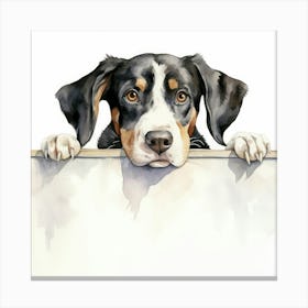 Bernese Mountain Dog 11 Canvas Print