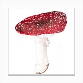 Red Mushroom in Watercolor Canvas Print