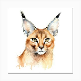 Caracal Cat Portrait 2 Canvas Print