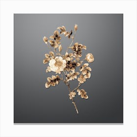 Gold Botanical Yellow Sweetbriar Rose on Soft Gray Canvas Print