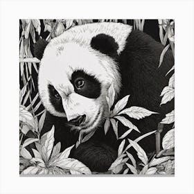 Panda Bear In The Jungle Canvas Print