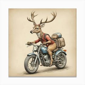 Deer On A Motorcycle Canvas Print