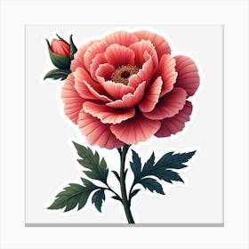 Peony 1 Canvas Print