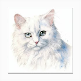 Russian White Cat Portrait Canvas Print