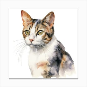 American Wirehair Cat Portrait 3 Canvas Print
