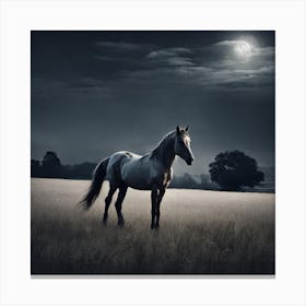 Horse In A Field At Night Canvas Print