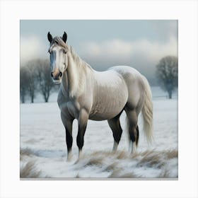 White Horse In The Snow 6 Canvas Print