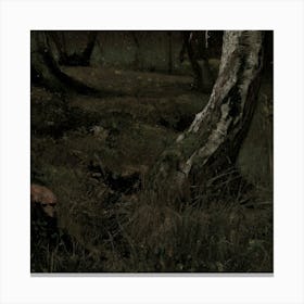 Dark Moody H 6 Canvas Print