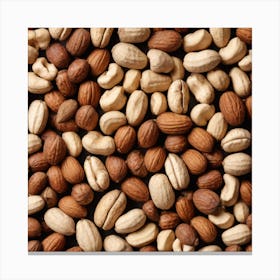 Nuts On A Black Background 3 Canvas Print