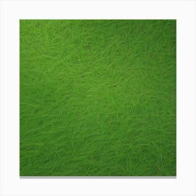 Grass Background 32 Canvas Print