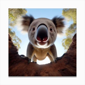 Koala Canvas Print