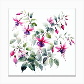 Flowers of Fuchsia 2 Canvas Print