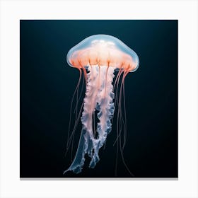 Jellyfish Toile