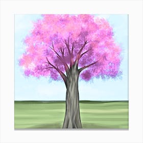 Pink Cherry Tree Canvas Print