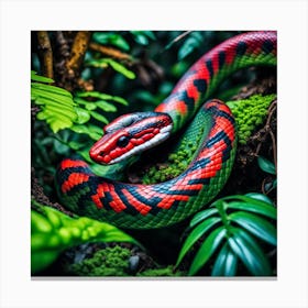 Red And Black Snake In The Jungle Canvas Print