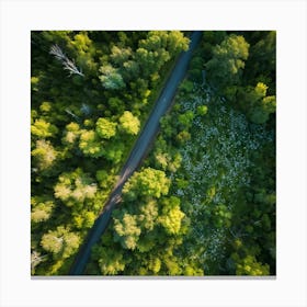 Aerial View Of A Forest Road 2 Canvas Print