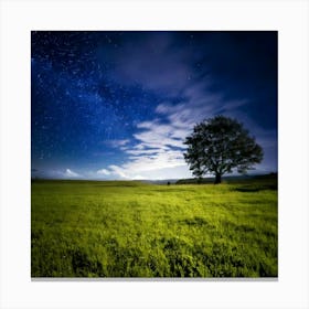 Firefly 8k, Top Quality, Live Action, Center, Night Sky, Darkness, Meadow, Plateau, Single Tree, Sea Canvas Print