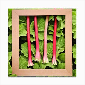 Rhubarb 73 Canvas Print