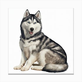 Siberian Husky 4 Canvas Print