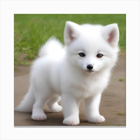 Cute White Fox Puppy Canvas Print