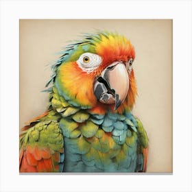 Colorful Parrot 45 Canvas Print