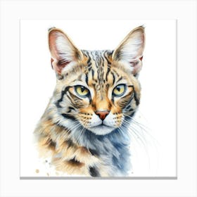 Leopardus Cat Portrait Canvas Print