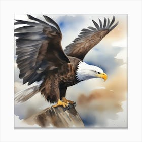 Watercolour Bald Eagle Canvas Print
