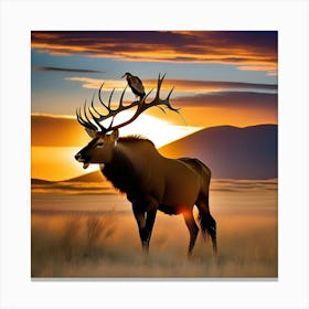 Elk At Sunset Canvas Print