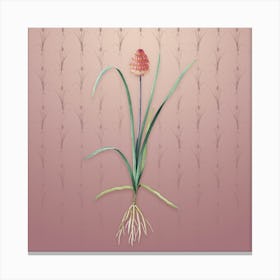 Vintage Veltheimia Abyssinica Botanical on Dusty Pink Pattern n.0585 Canvas Print