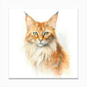 Somali Cat Portrait 3 Canvas Print