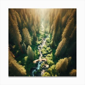 Aerial Photography Of A Forest Canvas Print