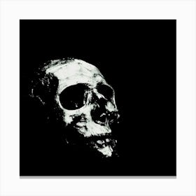 Skull On A Black Background Canvas Print