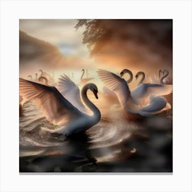 Swans In The Water Canvas Print