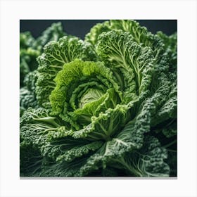 Close Up Of Green Cabbage Canvas Print