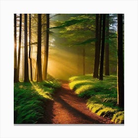 Path Through The Forest 16 Canvas Print